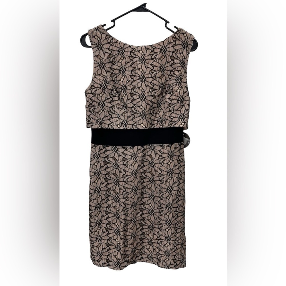NWT Eva Franco Anthropologie Women's Lace Floral Midi Sheath Dress Sz 6